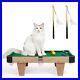 29-Mini-Pool-Table-for-Cats-4-in-1Portable-Cat-Pool-Billiard-Tables-Game-01-pk