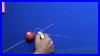 Learn-To-Play-Pool-In-Ten-Minutes-Billiards-Instruction-01-nd